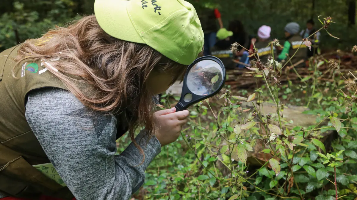 Naturschutztag Schwäbisch Fränkischer Wald