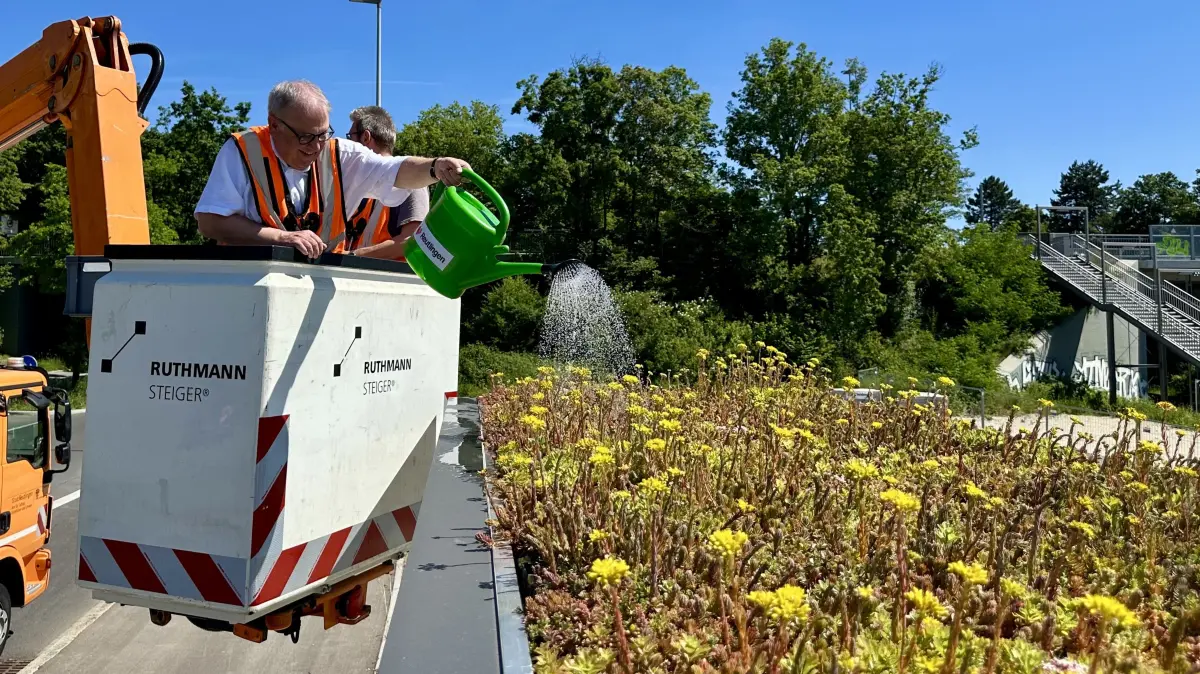 OB Keck Reutlingen Bushaltestelle begrünt RT-unlimited West Ost