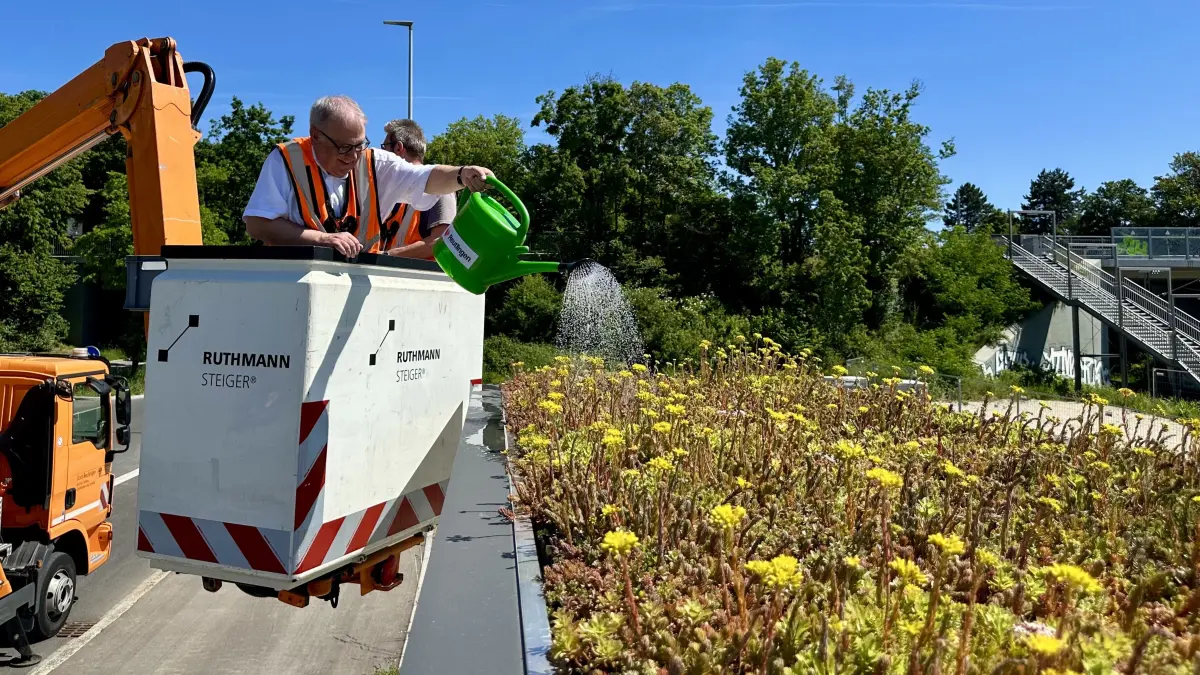 OB Keck Reutlingen Bushaltestelle begrünt RT-unlimited West Ost