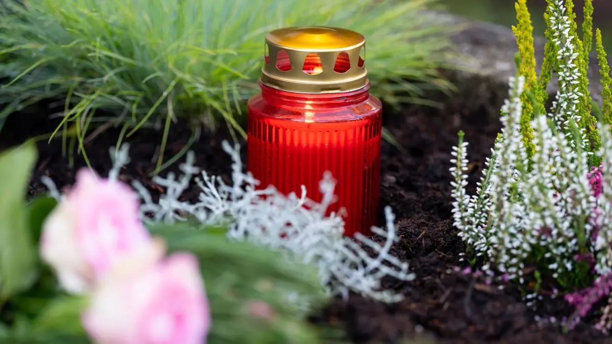 Grabschmuck: ARCHIV - 31.10.2021, Bayern, München: Zwei Rosen und ein Grablicht sind auf einem Grab auf dem Westfriedhof zu sehen. (zu dpa: «Unbekannte verwüsten oberbayerischen Friedhof») Foto: Sven Hoppe/dpa +++ dpa-Bildfunk +++