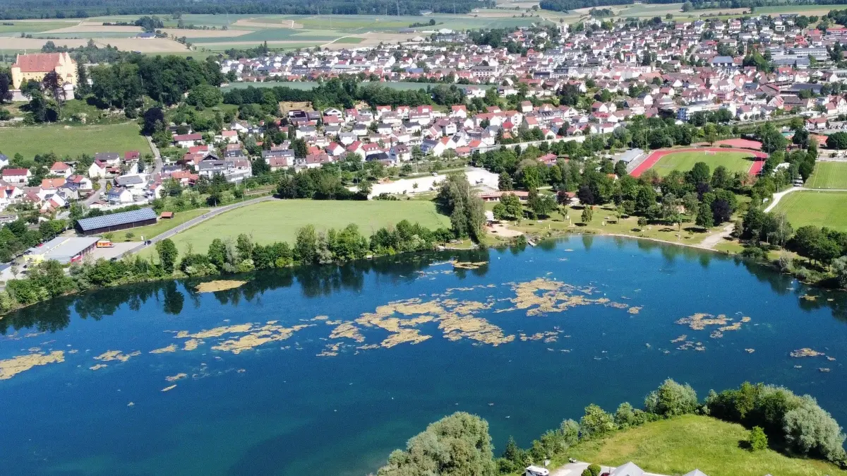 Algen im Badesee Erbach