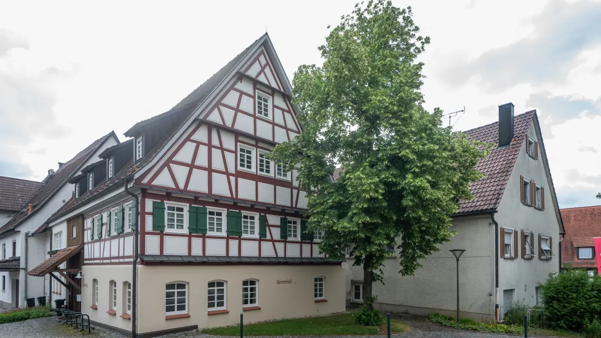 Hattenhofen Baum vor Farrenstall