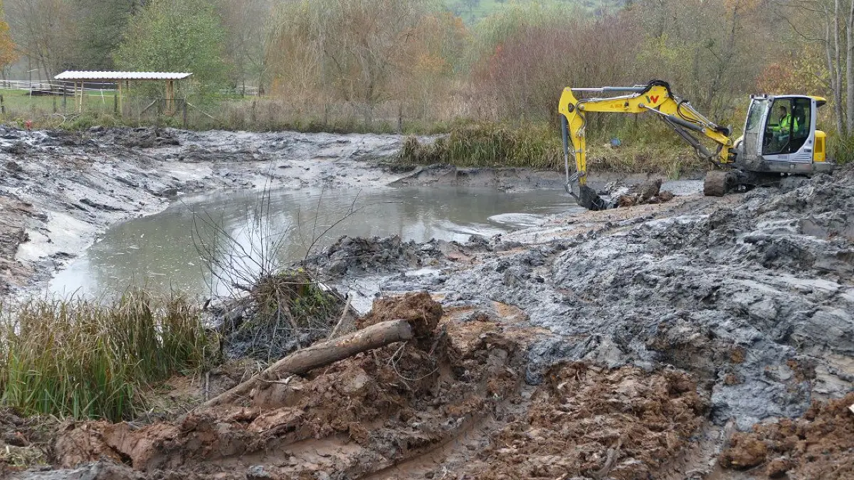 Von nichts kommt nichts: Im Jahr 2019 wurden die beiden verlandeten Teich umfassend ausgebaggert. Gert Rominger