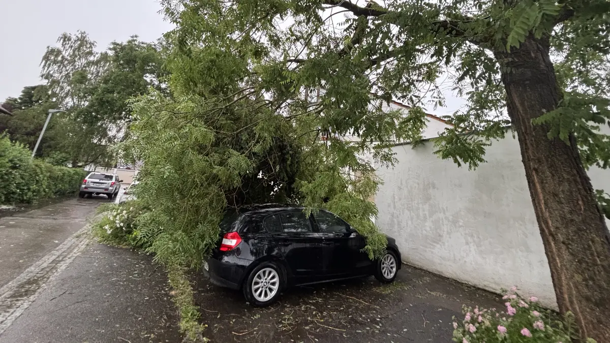 Umgestürzter Baum auf Auto in Jebenhausen