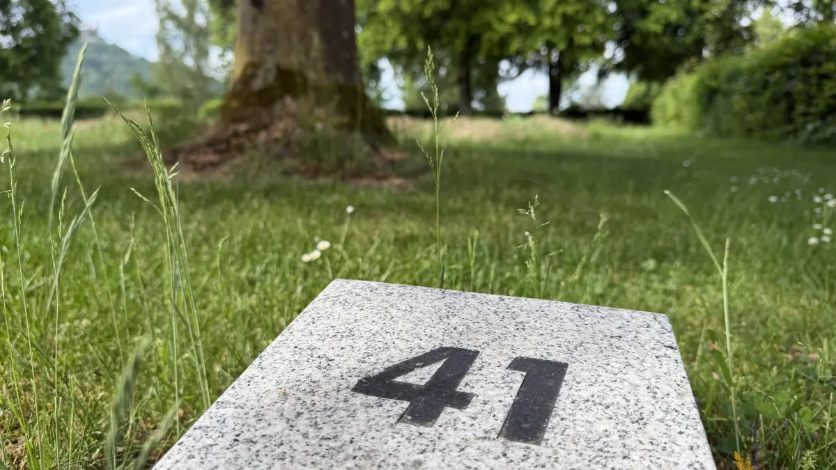 Auf dem Grabfeld 41 des Heiligkreuzfriedhofs soll ein Urnengrabfeld unter dem Titel "Fluss der Erinnerung" entstehen.