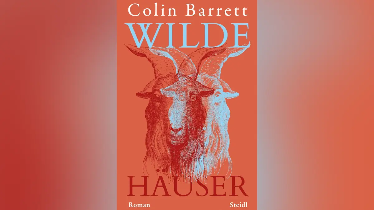 Colin Barrett: Wilde Häuser. Steidl Verlag, 256 Seiten, 25 Euro.