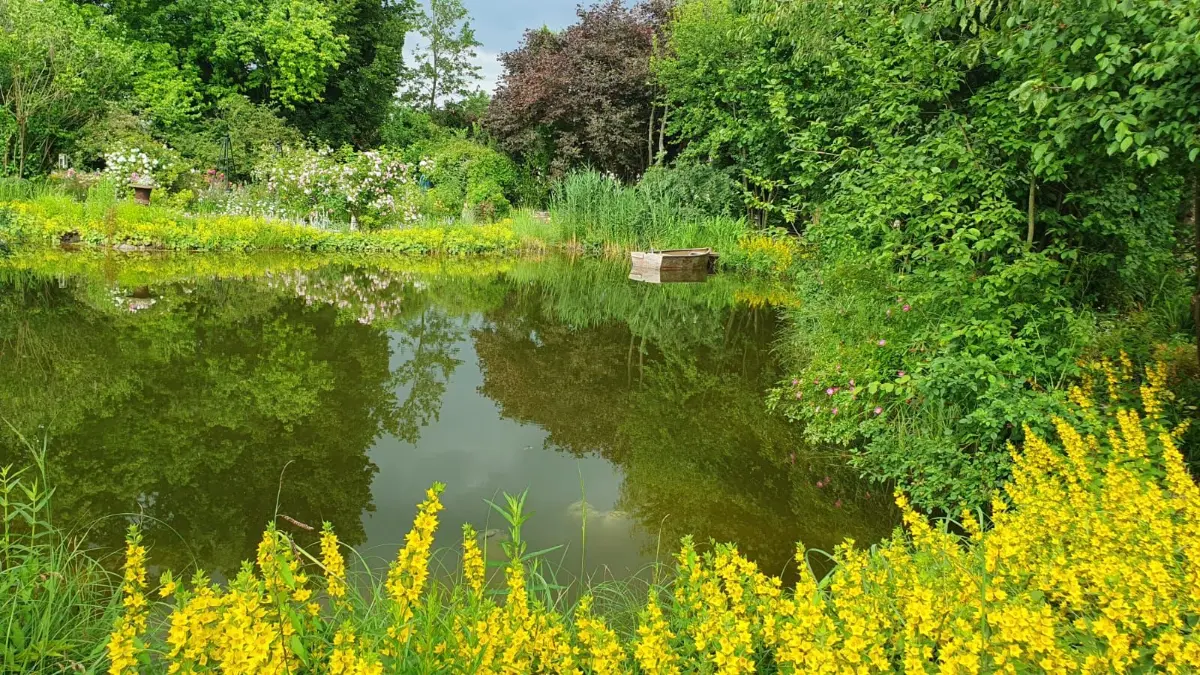 Auch der Teich, in dem sich die Umgebung spiegelt, lädt zum Entdecken ein.