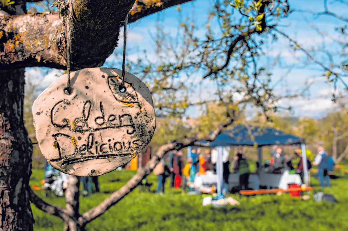 Es gibt viele gemeinsame Aktivitäten im Hermannsgarten wie Pflegeaktionen und jahreszeitliche Feste.⇥Foto: Johanna Fischer