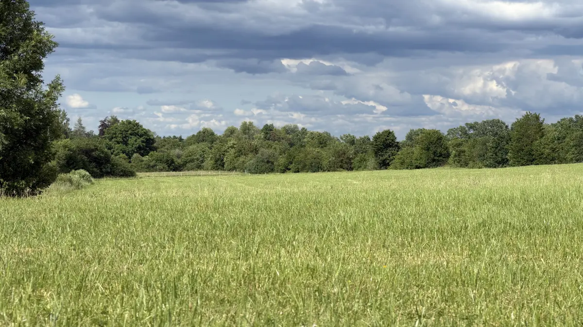 Nachdem der Bebauungsplan beschlossen sein wird, ist dieses Gelände prinzipiell bereit, um darauf einen Solarpark zu bauen.