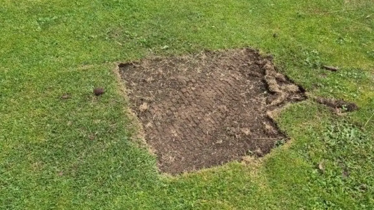 Rollrasen am Sportplatz Münster geklaut