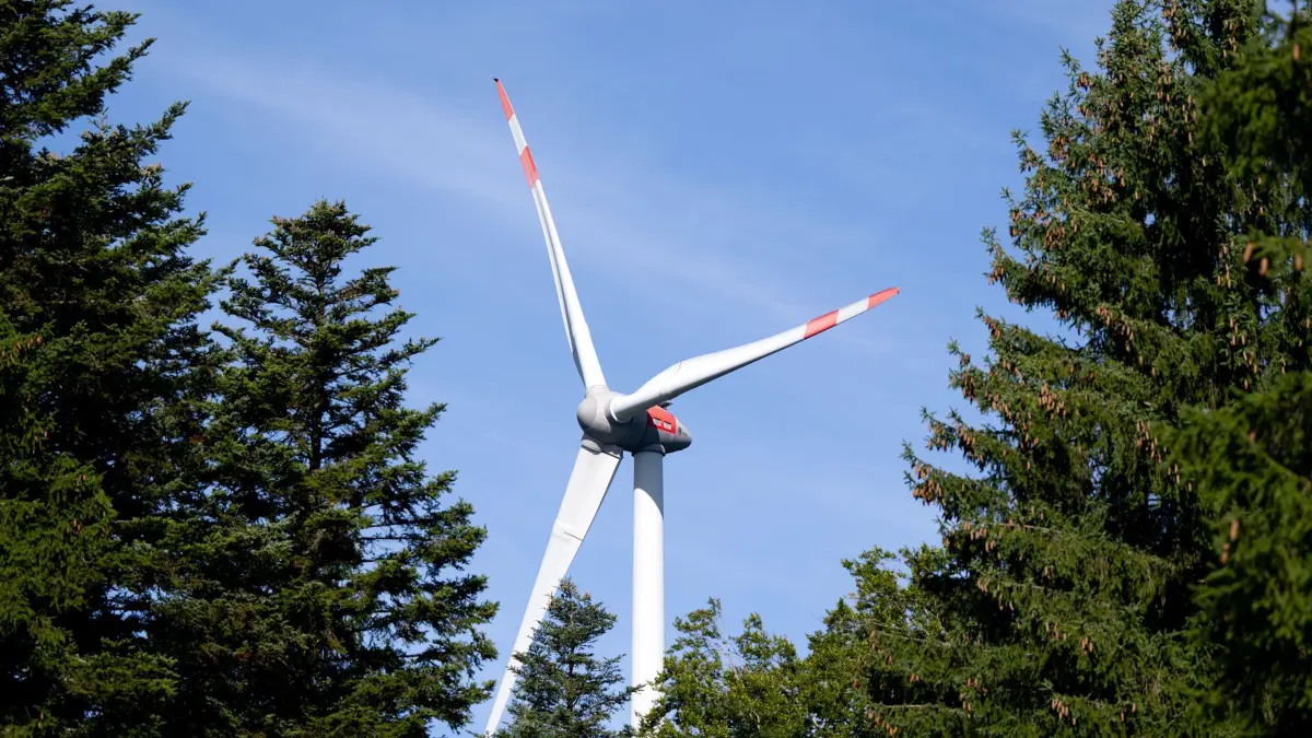ARCHIV - 03.09.2025, Bayern, Berg: Ein Windrad ist während der Vorstellung von einem Pilotprojekt für die Begrünung von Windenergiestandorten zu sehen. In dem Projekt an zwei Windenergieanlagen soll die Möglichkeit zur Begrünung und ökologischen Aufwertung von Windenergiestandorten im Wald gezeigt werden. (zu dpa: «Jäger warnen vor Windrädern im Thüringer Wald») Foto: Sven Hoppe/dpa +++ dpa-Bildfunk +++
