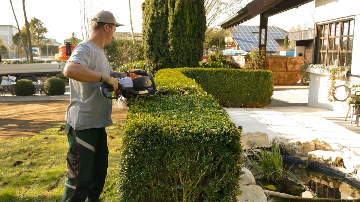 Ganzjährige Gartenpege in Ulm. Ihr Rundum-sorglos-Paket von Zaiser Gartengestaltung.