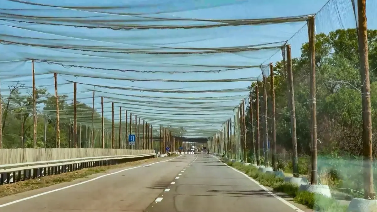 So sieht der Alltag im Osten der Ukraine aus: Über die Straße gesperrte Netze sollen Schutz bieten vor russischen Drohnenangriffen.