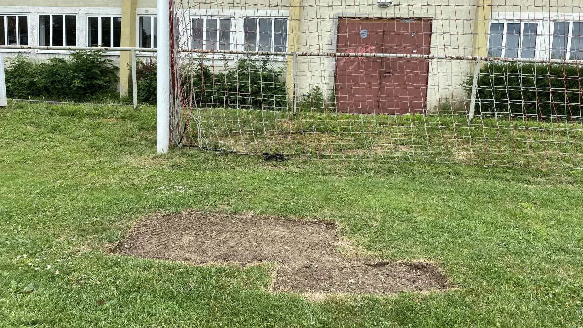 Rollrasen von der Bleichwiese gestohlen