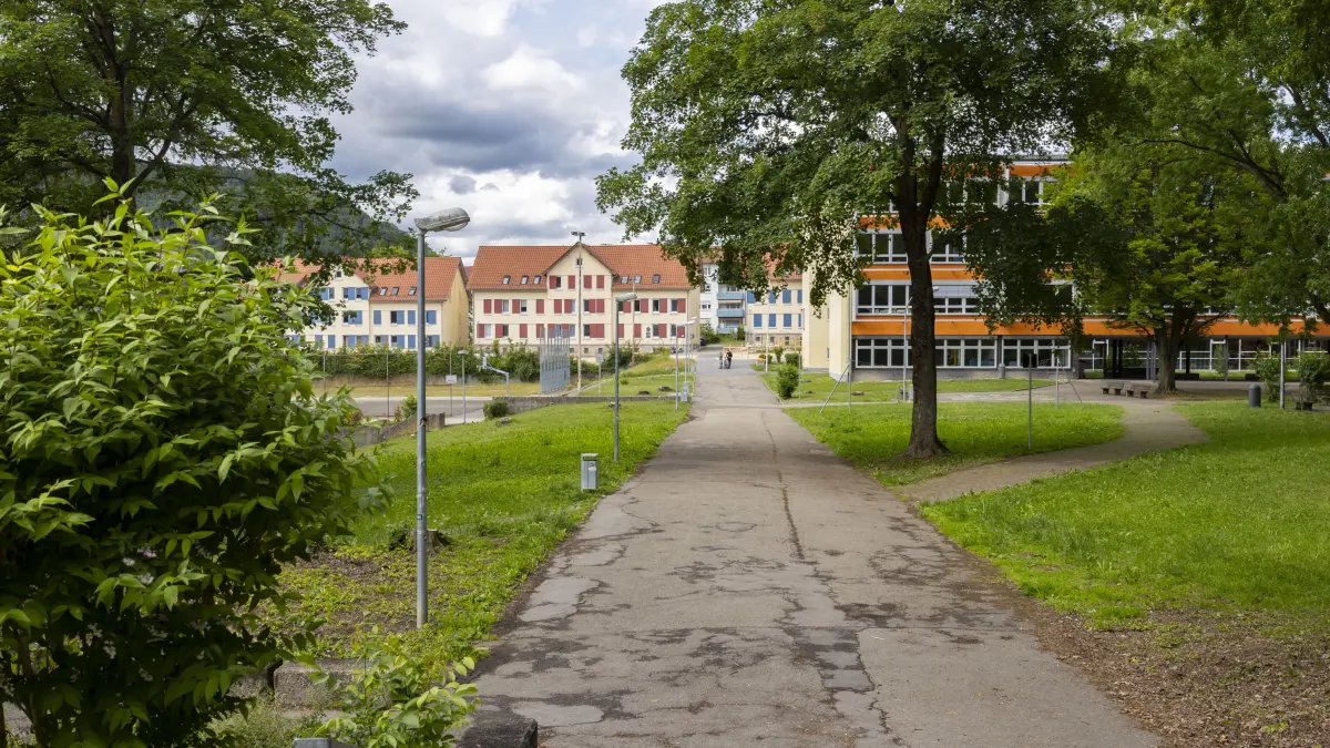 Geislingen, Notzental, HeGy, Helfenstein-Gymnasium, NGG, Neues Geislinger Gymnasium, Standort, Bauplatz