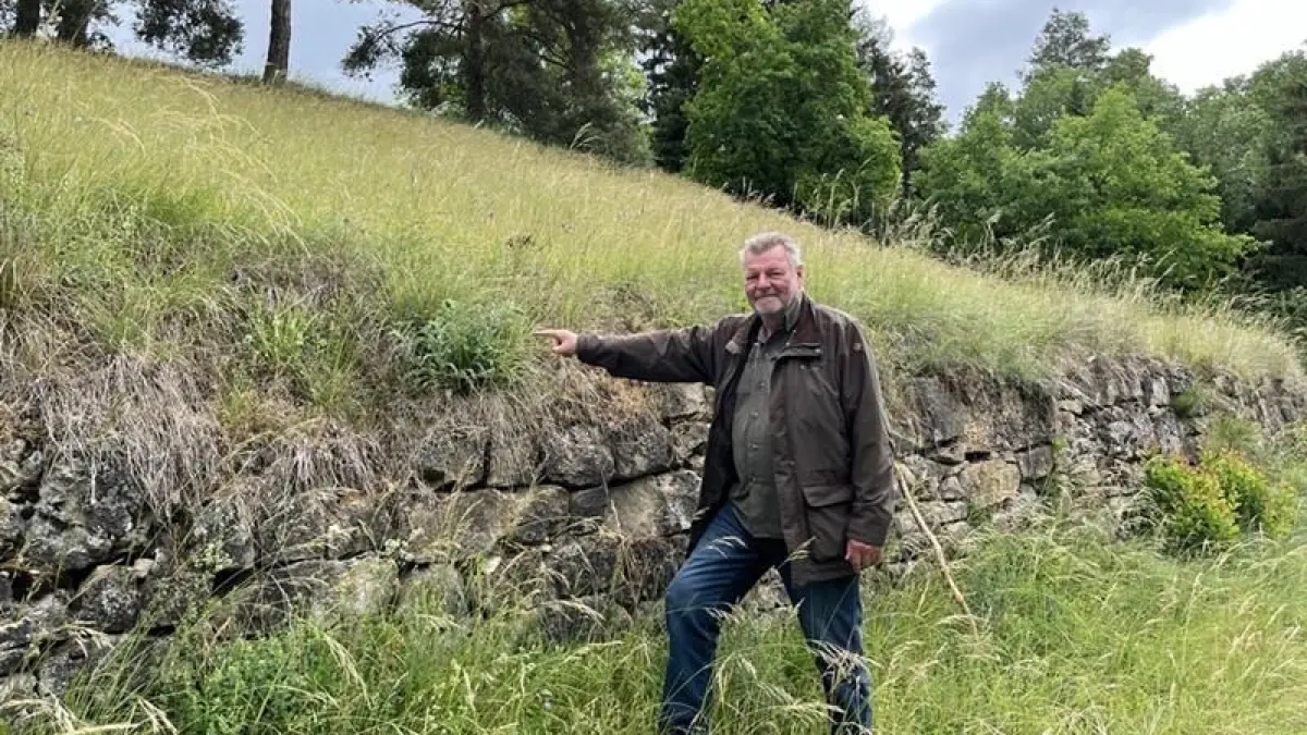 Harald Dold, Vorsitzender des Weitinger ANV, zeigt einen Natternkopf am Urnburghang. Die Wildpflanze ist ein für Schmetterlinge und Wildbienen wichtige Wildpflanze. Den Urnburghang pflegt der ANV seit 25 Jahren.