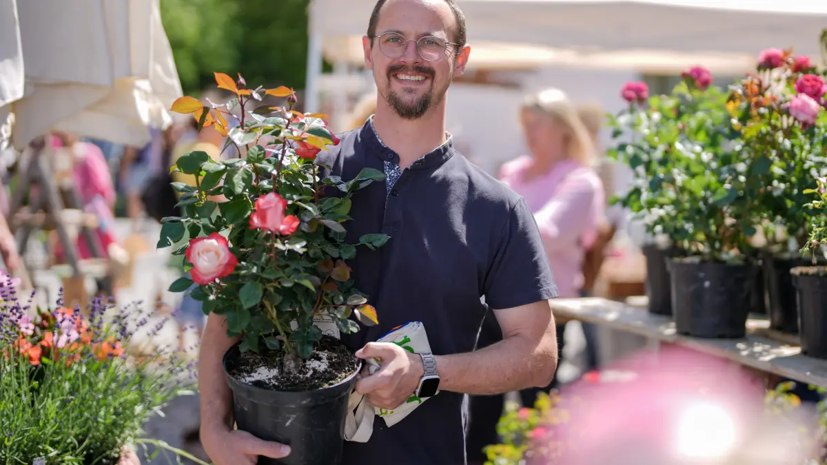 Münsterplatz - Tag der Rose 2026 - Markt - Blumen -