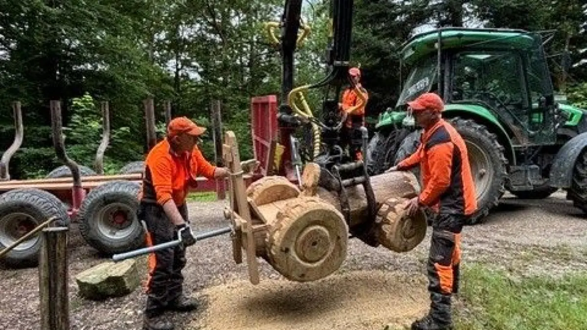 Der Erlebnispfad am Herrenbachstausee ist um weitere Attraktionen reicher: Die beiden Schlater Forstwirte von ForstBW Jürgen Hald und Gerhard Hirschmann haben erneut ganze Arbeit geleistet und neue Murmelbahnen geschaffen. Hier wird die Traktirmurmelbanh aufgestellt