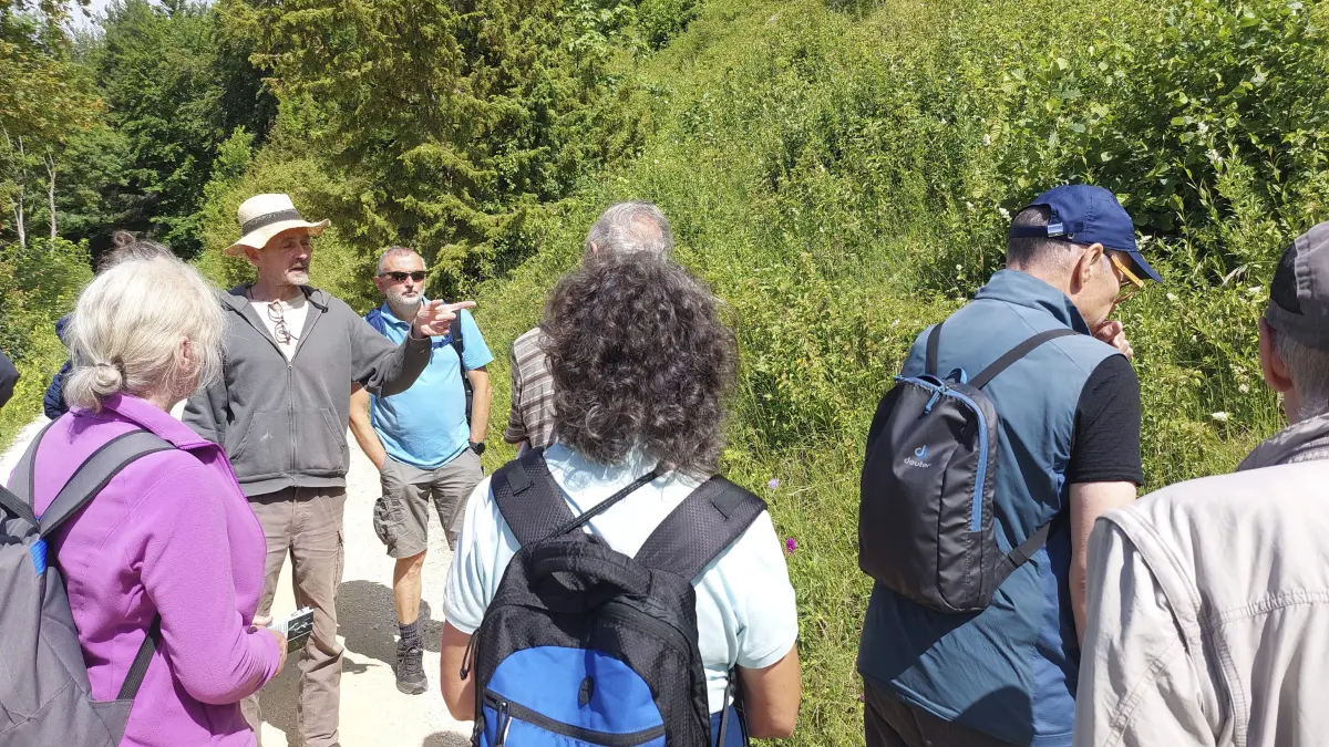 Tag der Artenvielfalt am Haarberg; Exkursion mit der Bezirksgruppe Geislingen des Bund Naturschutz Alb-Neckar (BNAN) -