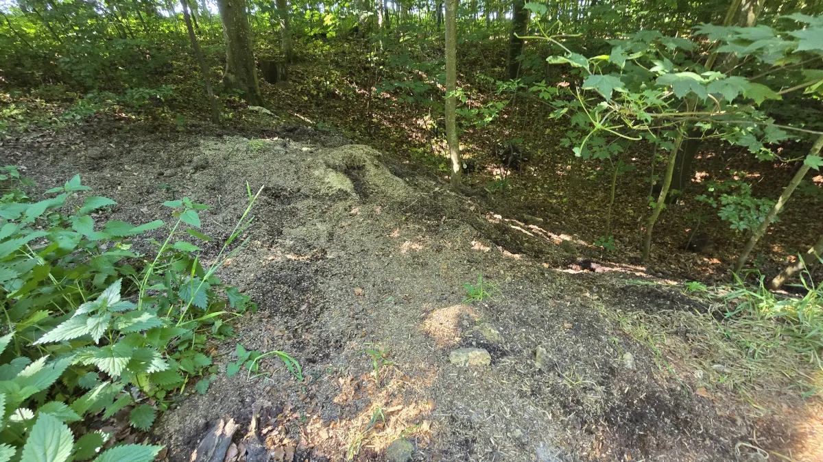 Im Wald im Landschaftsschutzgebiet Hagener Tobel sind alte und neuere Ladungen an landwirtschaftlichen Materials zu sehen. Eine Doline ist hier im Lauf von zwei Jahrzehnten aufgefüllt worden, ist ein pensionierter Polizist aus der Region überzeugt.