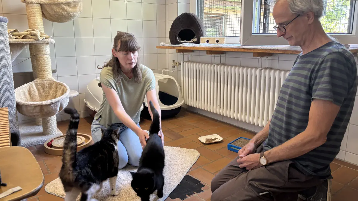 Nina Ahrens und Thomas Schatz mit Nicky und Mohrle