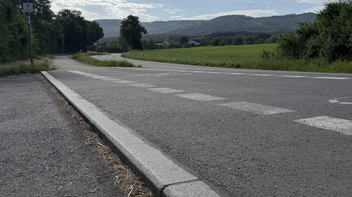 Die Randsteine entlang des Fahrradwegs auf Höhe Abfahrt zum Kuhloch sind zu hoch.