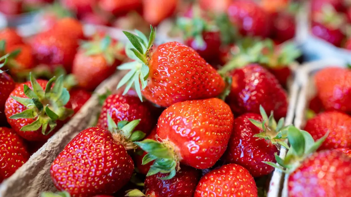 Erdbeeren