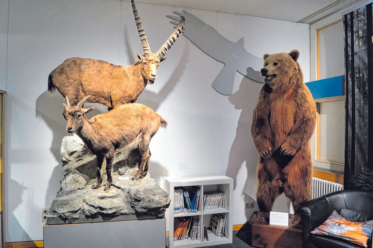 Schon seit über hundert Jahren gibt es das Naturmuseum mit tollen Exponaten. Forschen und Träumen sind hier ausdrücklich erwünscht. ⇥Fotos: Petra Starzmann