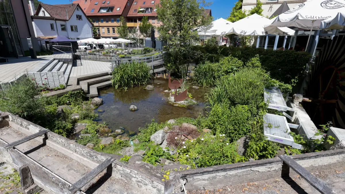 Geislingen, kühle Plätze, Schwanenteich, Schlossteich