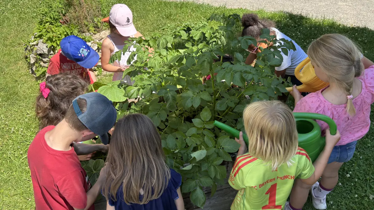 Garten-AG Grundschule Beimerstetten