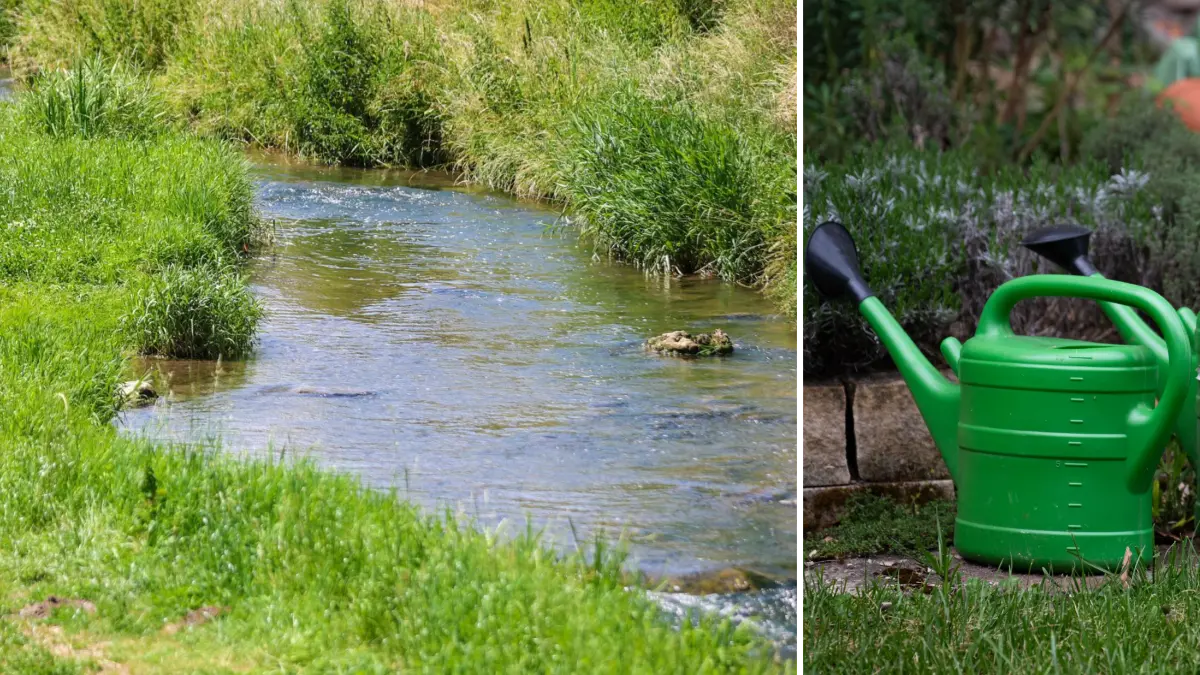 Auch aus der Ammer in der Tübinger Weststadt sollte in Zeiten der Trockenheit kein Wasser zum Gartengießen geschöpft werden.