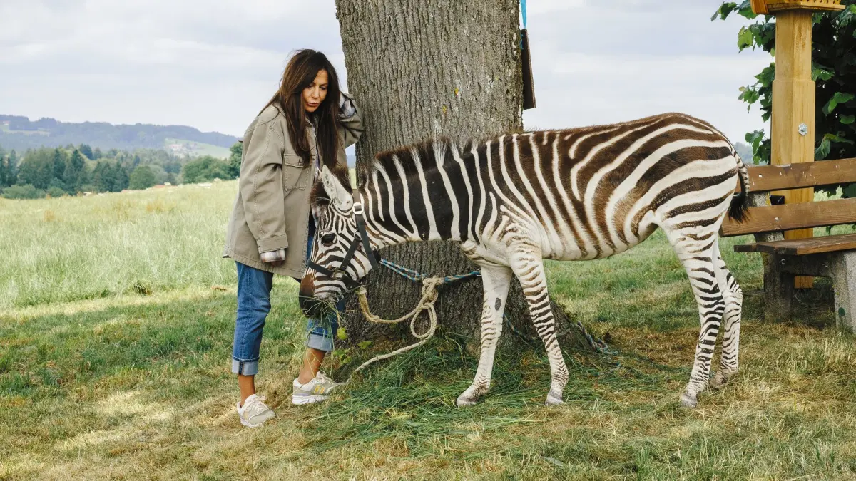 Katja Baumann (Simone Thomalla) traut ihren Augen nicht: In Frühling wurde ein Zebra ausgesetzt.