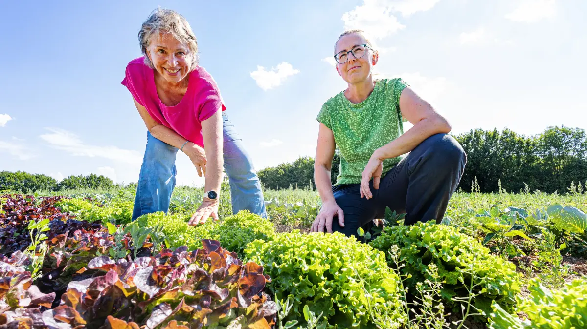 10 Jahre Bioladen Kleincomburg - Ulrike Neidhardt & Willem Tette feiern das ganze Wochenende. Diesmal ist Gisela Sengl dabei. Sie ist Vorsitzende der Grünen in Bayern - Landesvorsitzende Bündnis 90 die Grünen. In Steinbach trifft sich auf die hiesige Landtagsabgeordnete Lea Geldner.
