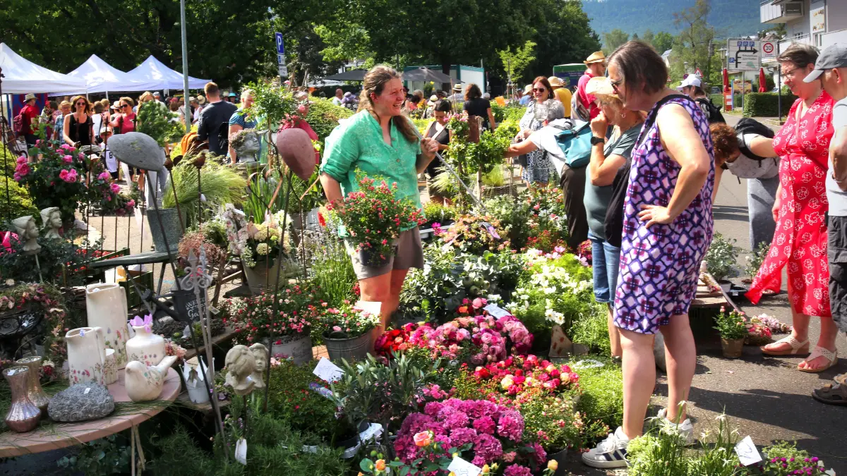 Rosenmarkt Mössingen