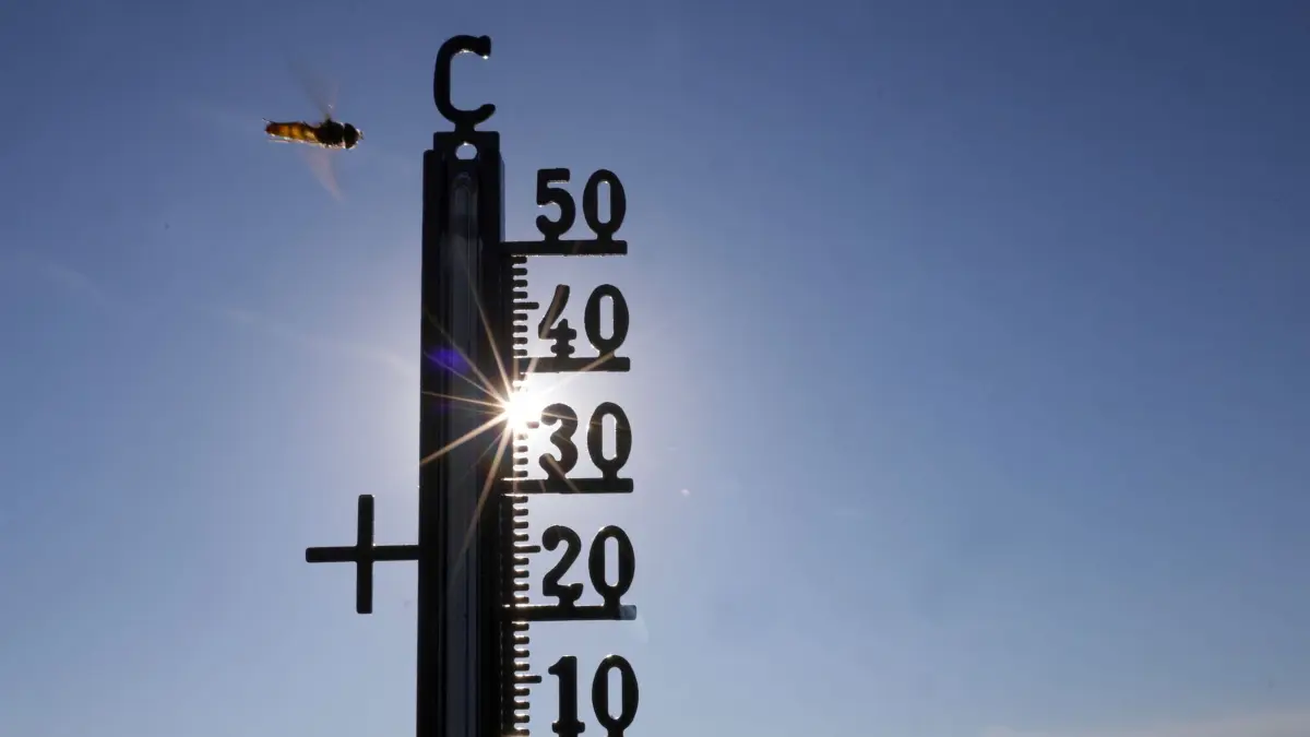 Hitze in Deutschland: 21.06.2026, Baden-Württemberg, Riedlingen: Die Sonne scheint hinter einem Thermometer, an dem eine Schwebefliege vorbeifliegt. (zu dpa: «Hitze auch in neuer Woche – 40 Grad nicht ausgeschlossen») Foto: Thomas Warnack/dpa +++ dpa-Bildfunk +++