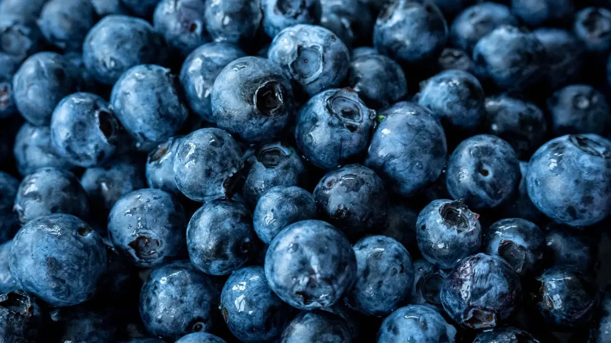 Heidelbeeren