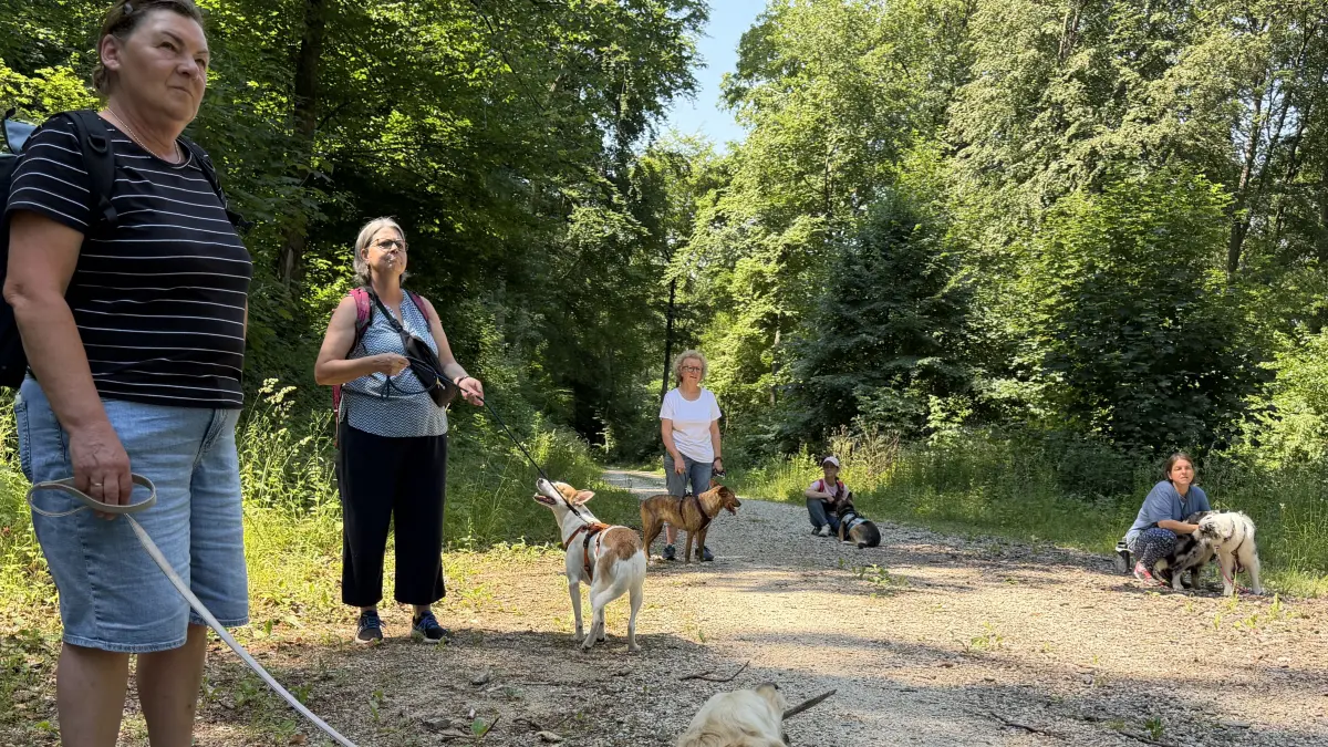 Tipps von Expertinnen: Für die Teilnehmer des „Social Walks“ mit Hundetrainerin Sabrina Haupter und Jägerin Stefanie Laib gab es spannende Einblicke.