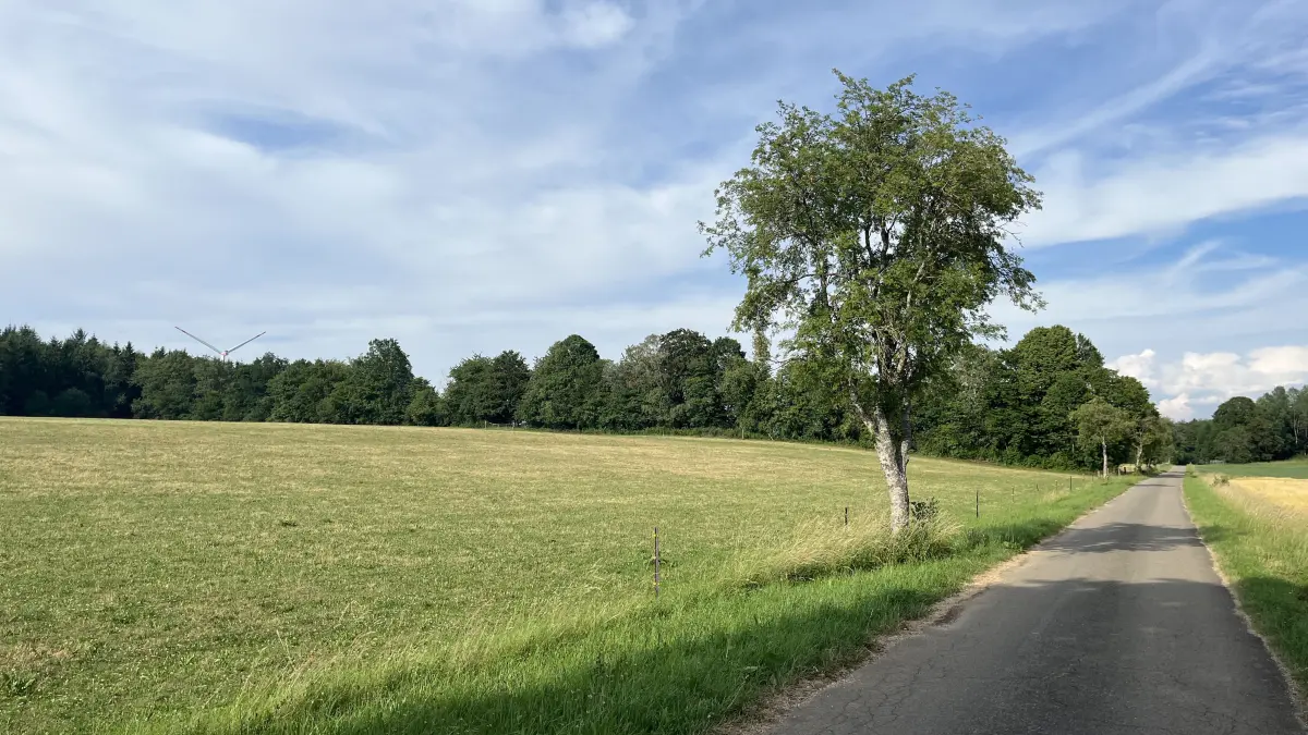 Hier wird die PV-Freiflächenanlage Bernloch entstehen.