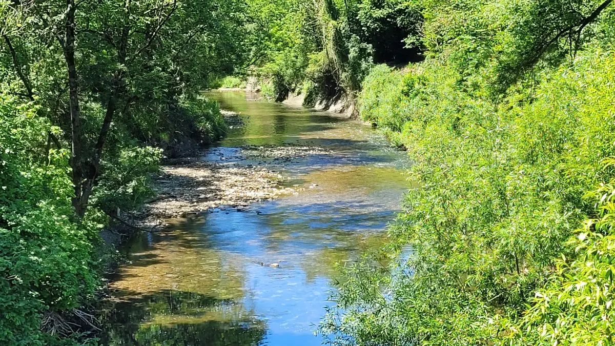 Die Fils oberhalb von Göppingen führt derzeit sehr wenig Wasser. Um der dramatischen Wassersituation Herr zu werden, hat das Landratsamt Göppingen eine Allgemeinverfügung erlassen.