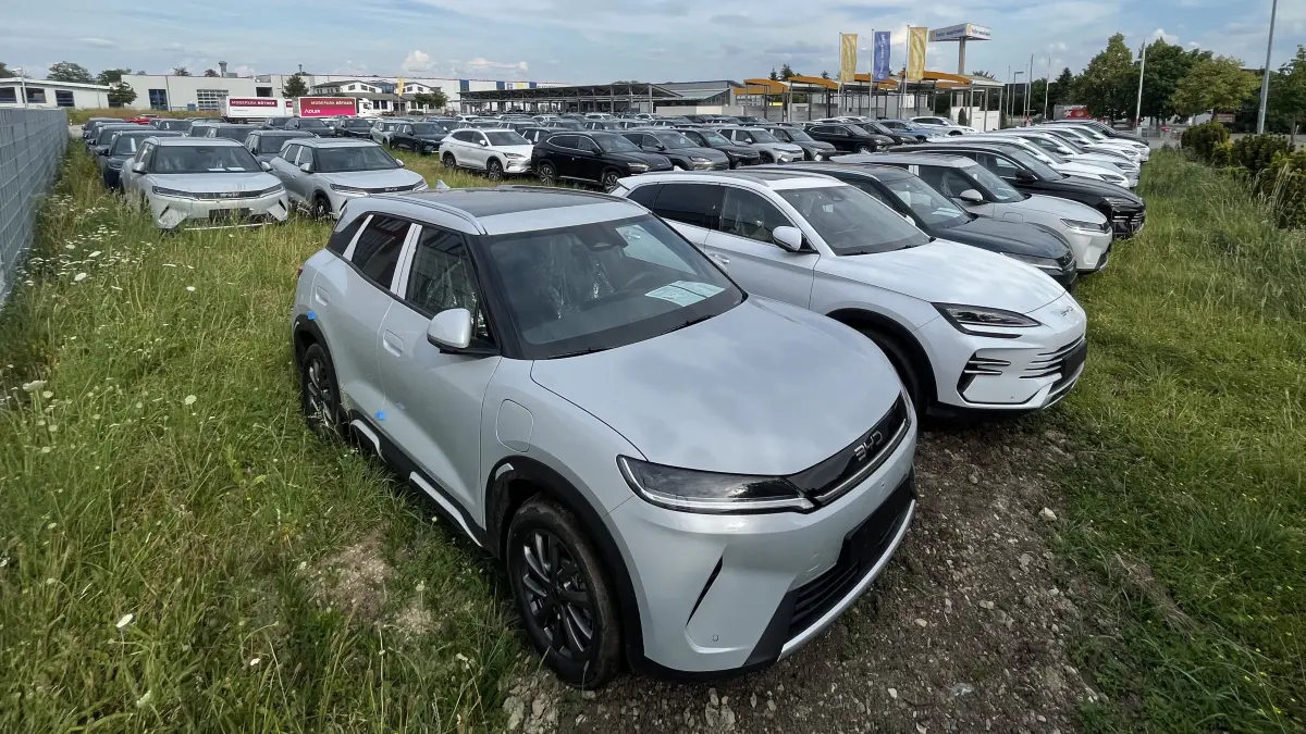 90 BYD-Autos im Kerz in Michelfeld
