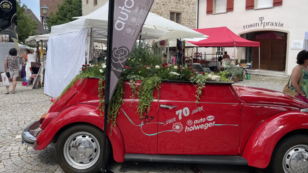 Das etwas andere Blumenbeet.