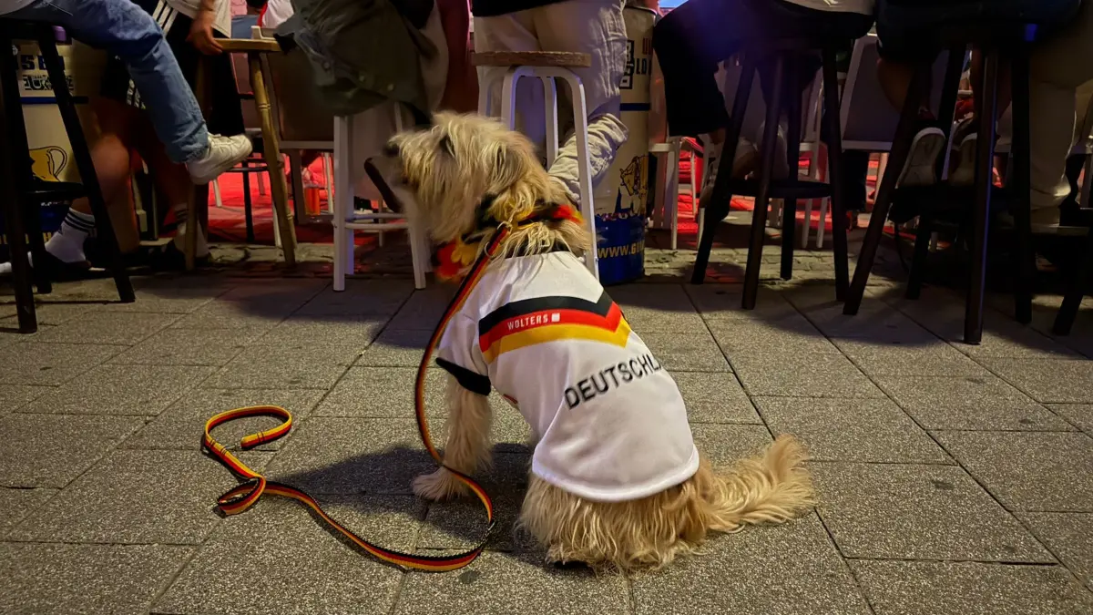 Ulm WM 2026 Deutschland Paraguay Hund