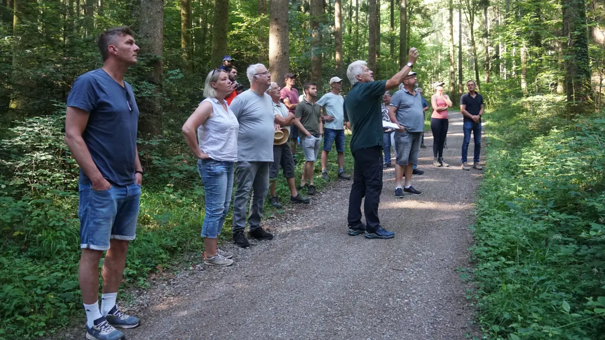 Interessiert verfolgten Gemeinderäte, Bürgerinnen und Bürger den Erklärungen von Ferdinand Schorpp im Wald am "Schellenberg".