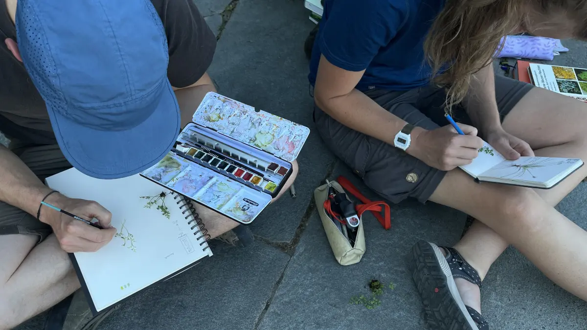 Nature Journaling Club