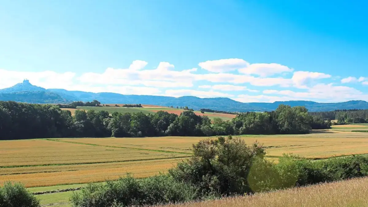 Mit einer Stärke von 4,1 bebte bei Hechingen am 9. Juli 2022 die Erde – zehn Kilometer unter diesem Weizenfeld, in direkter Sichtlinie zu Burg Hohenzollern.