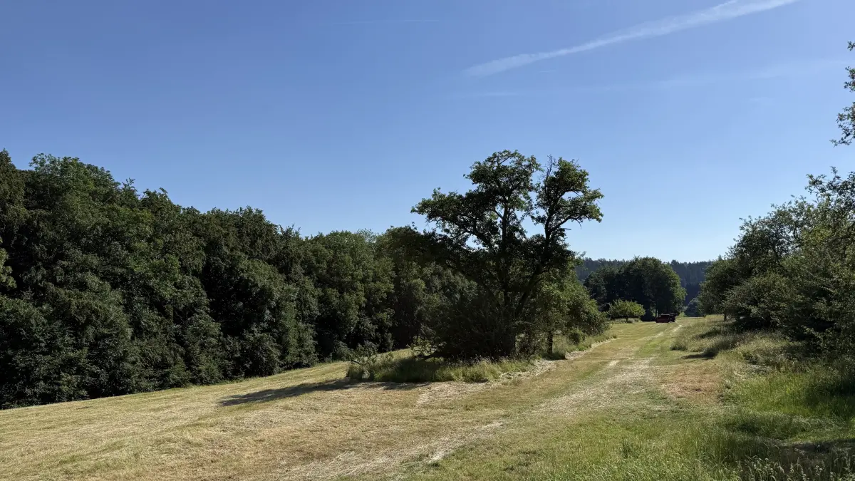 Daiber engagiert sich mit der NABU-Gruppe Albstadt sowie der Stadtverwaltung für eine Streuobstfläche im Tailfinger Buchtal.