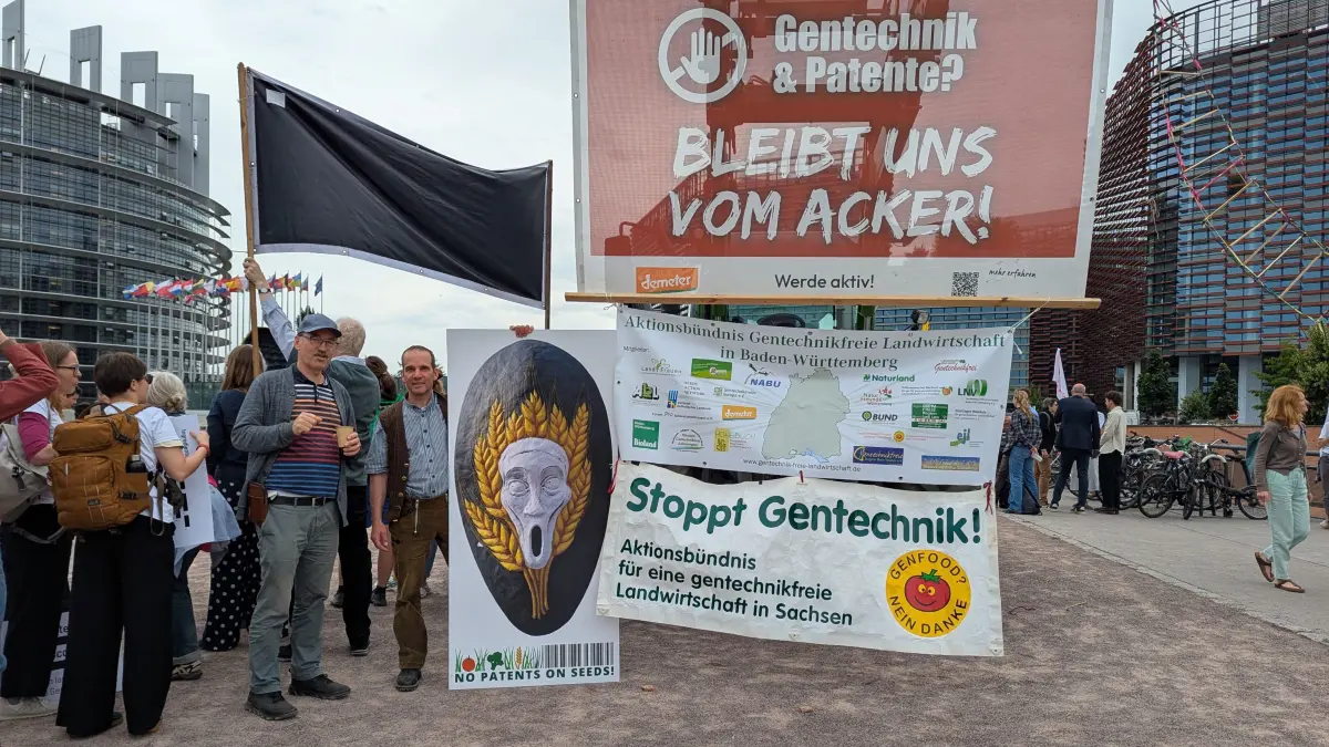 Daniel Kießecker aus Wittenweiler und Jürgen Haag aus Lorenzenzimmern haben vor dem EU-Parlament in Straßburg gegen die Gentechnik-Neuregelung protestiert – vergeblich. Jetzt hoffen sie auf eine juristische Wende.