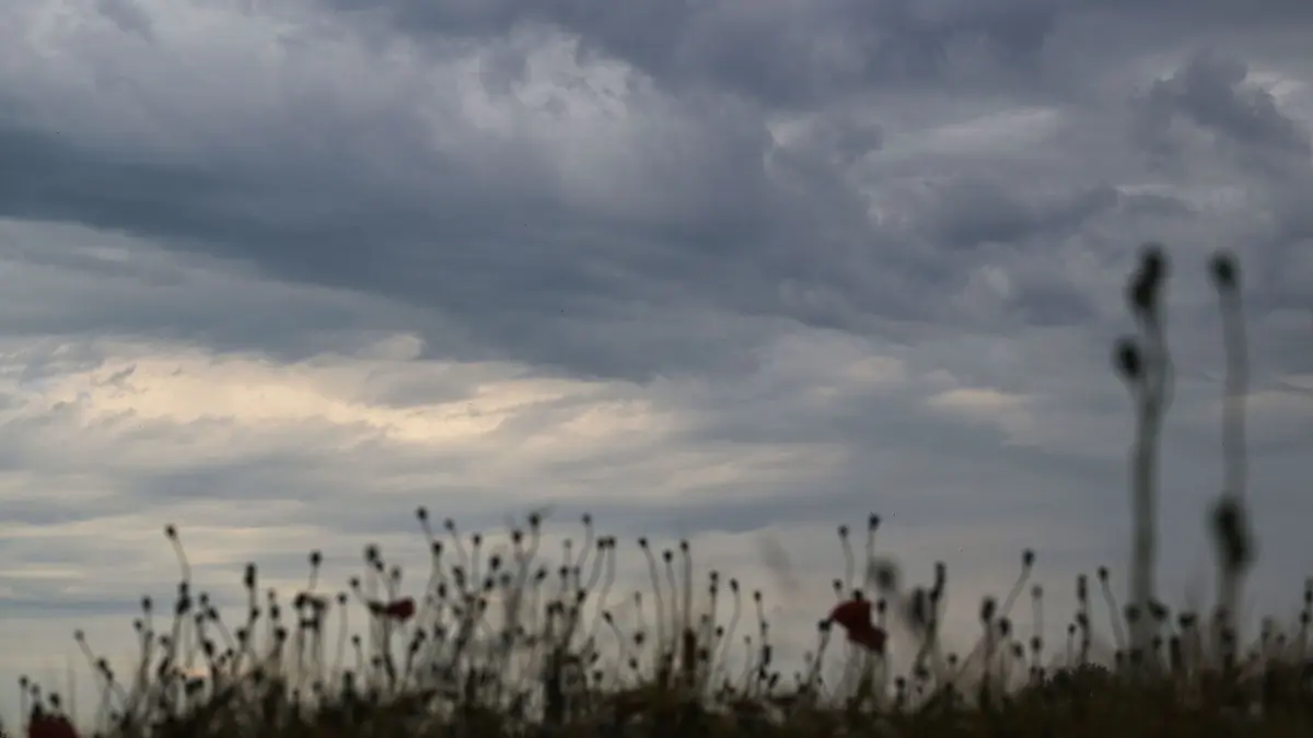 Graues Wetter im Norden: ARCHIV - 21.06.2026, Brandenburg, Werder: Graue Wolken sind über leere Kapseln von verblühtem Klatschmohn über einem Kornfeld am Himmel. (zu dpa: «Trübe Aussichten: Das Wetter im Norden bleibt grau») Foto: Michael Bahlo/dpa +++ dpa-Bildfunk +++