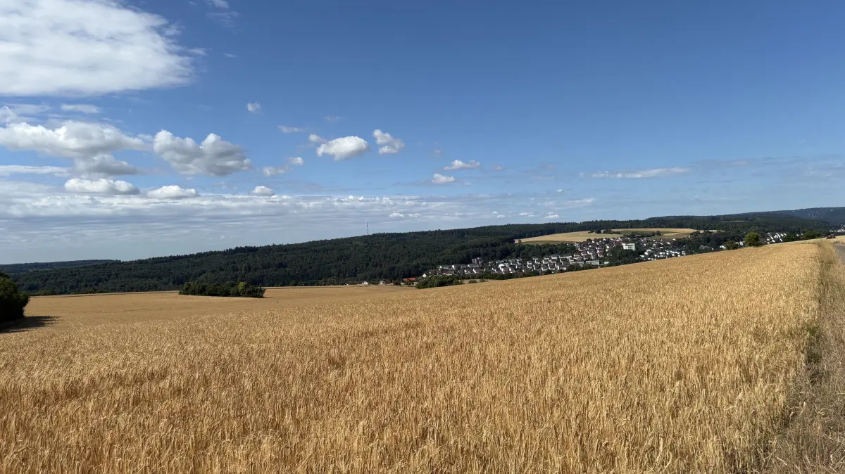 Am Oberen Scheibenberg in Blaustein entsteht mit der Stadt Ulm ein großes Neubaugebiet