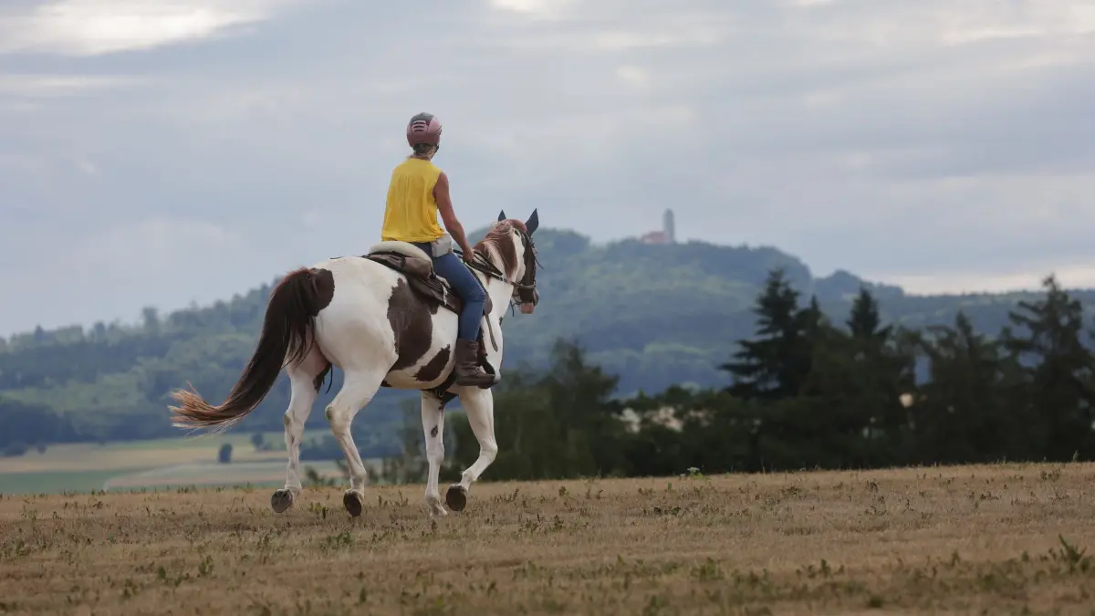 Wetter in Baden-Württemberg: 05.07.2026, Baden-Württemberg, Riedlingen: Eine Reiterin ist mit ihrem Pferd auf einer Wiese unterwegs. Foto: Thomas Warnack/dpa +++ dpa-Bildfunk +++